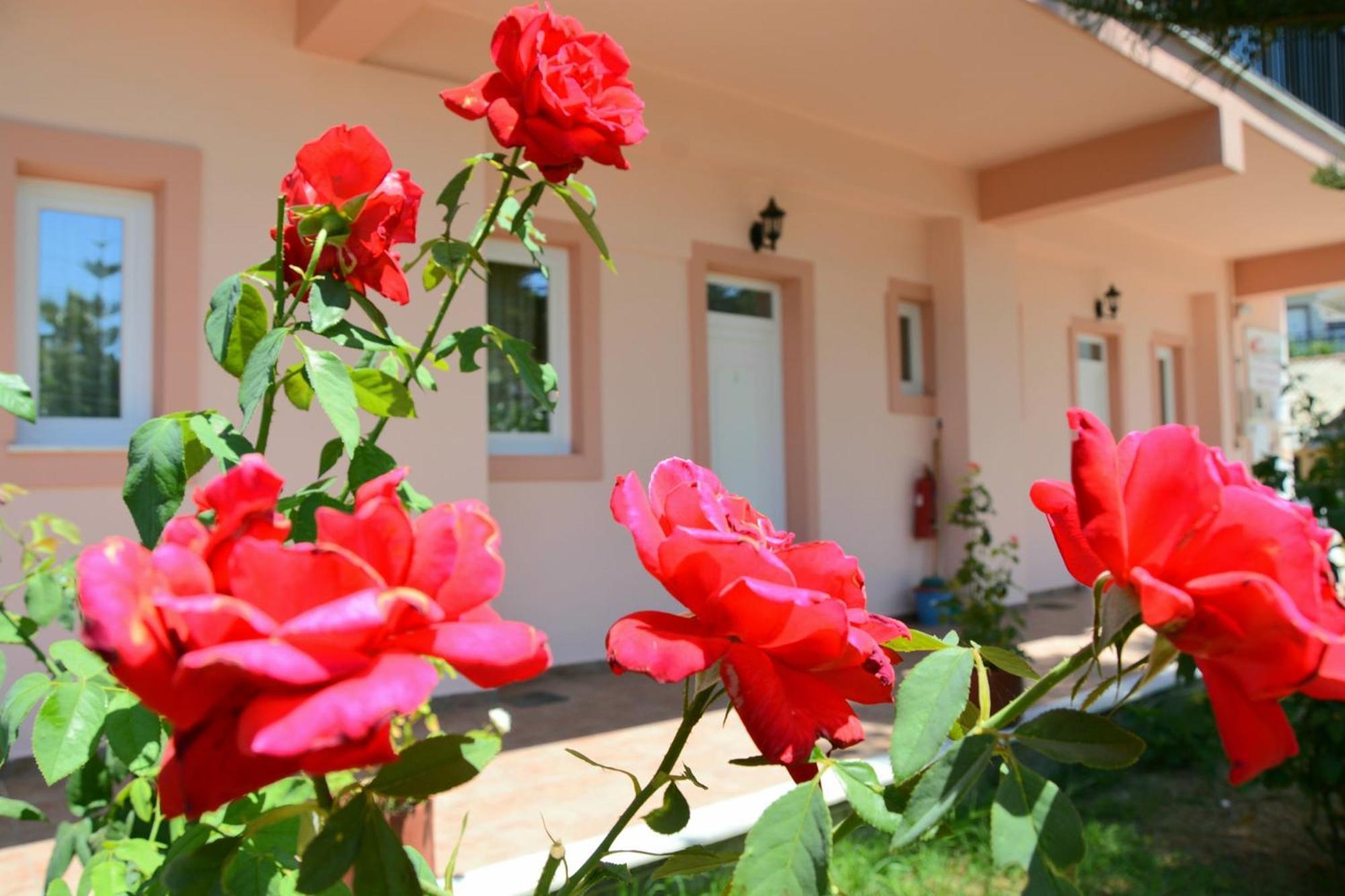 Red Rose Garden Lejlighed Tsilivi  Eksteriør billede